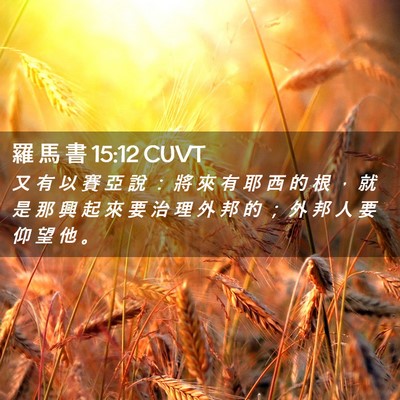 Picture 02 - 羅 馬 書 15:12 CUVT - 又 有 以 賽 亞 說 ： 將 來 有 耶 西 - Bible Verse Picture