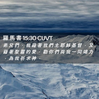 Picture 02 - 羅 馬 書 15:30 CUVT - 弟 兄 們 ， 我 藉 著 我 們 主 耶 穌 - Bible Verse Picture