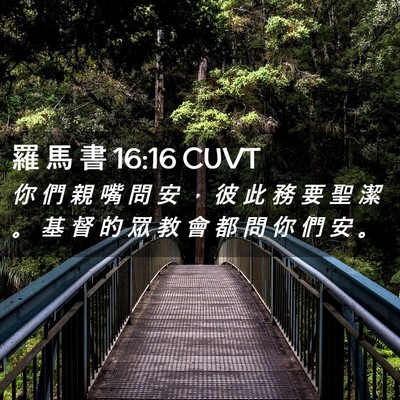 Picture 02 - 羅 馬 書 16:16 CUVT - 你 們 親 嘴 問 安 ， 彼 此 務 要 聖 - Bible Verse Picture