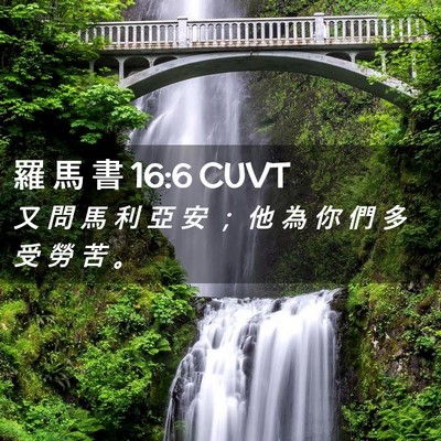 Picture 02 - 羅 馬 書 16:6 CUVT - 又 問 馬 利 亞 安 ； 他 為 你 們 多 - Bible Verse Picture
