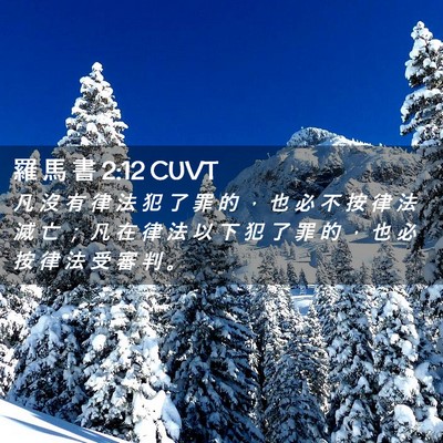 Picture 02 - 羅 馬 書 2:12 CUVT - 凡 沒 有 律 法 犯 了 罪 的 ， 也 必 - Bible Verse Picture