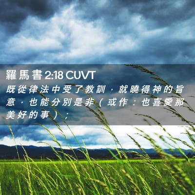 Picture 02 - 羅 馬 書 2:18 CUVT - 既 從 律 法 中 受 了 教 訓 ， 就 曉 - Bible Verse Picture