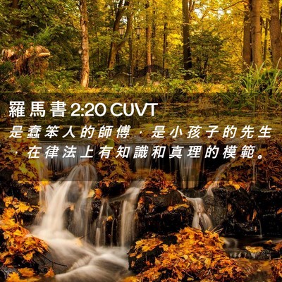 Picture 02 - 羅 馬 書 2:20 CUVT - 是 蠢 笨 人 的 師 傅 ， 是 小 孩 子 - Bible Verse Picture