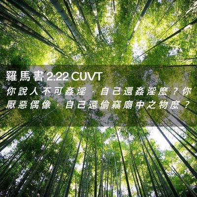 Picture 02 - 羅 馬 書 2:22 CUVT - 你 說 人 不 可 姦 淫 ， 自 己 還 姦 - Bible Verse Picture