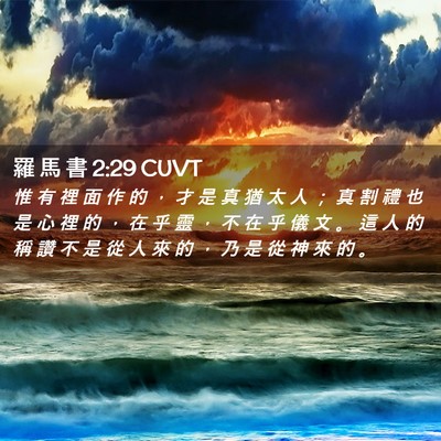Picture 02 - 羅 馬 書 2:29 CUVT - 惟 有 裡 面 作 的 ， 才 是 真 猶 太 - Bible Verse Picture