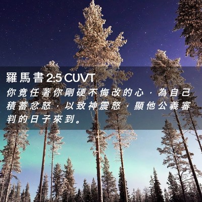 Picture 02 - 羅 馬 書 2:5 CUVT - 你 竟 任 著 你 剛 硬 不 悔 改 的 心 - Bible Verse Picture