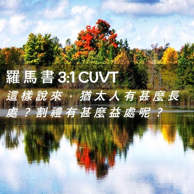 Picture 02 - 羅 馬 書 3:1 CUVT - 這 樣 說 來 ， 猶 太 人 有 甚 麼 長 - Bible Verse Picture