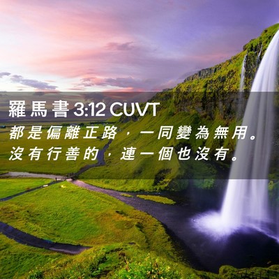 Picture 02 - 羅 馬 書 3:12 CUVT - 都 是 偏 離 正 路 ， 一 同 變 為 無 - Bible Verse Picture