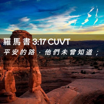 Picture 02 - 羅 馬 書 3:17 CUVT - 平 安 的 路 ， 他 們 未 曾 知 道 - Bible Verse Picture