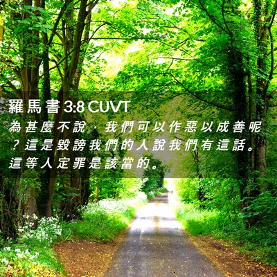 Picture 02 - 羅 馬 書 3:8 CUVT - 為 甚 麼 不 說 ， 我 們 可 以 作 惡 - Bible Verse Picture