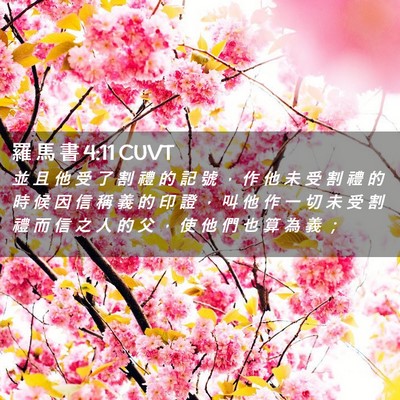 Picture 02 - 羅 馬 書 4:11 CUVT - 並 且 他 受 了 割 禮 的 記 號 ， 作 - Bible Verse Picture