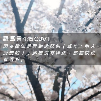 Picture 02 - 羅 馬 書 4:15 CUVT - 因 為 律 法 是 惹 動 忿 怒 的 （ 或 - Bible Verse Picture