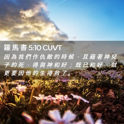 Picture 02 - 羅 馬 書 5:10 CUVT - 因 為 我 們 作 仇 敵 的 時 候 ， 且 - Bible Verse Picture