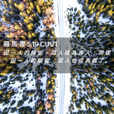 Picture 02 - 羅 馬 書 5:19 CUVT - 因 一 人 的 悖 逆 ， 眾 人 成 為 罪 - Bible Verse Picture
