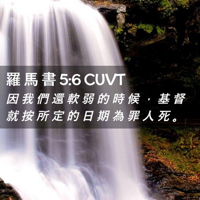 Picture 02 - 羅 馬 書 5:6 CUVT - 因 我 們 還 軟 弱 的 時 候 ， 基 督 - Bible Verse Picture