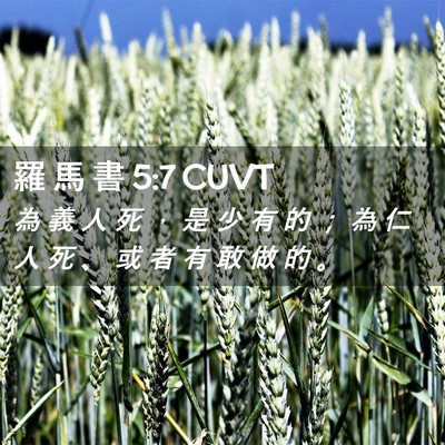 Picture 02 - 羅 馬 書 5:7 CUVT - 為 義 人 死 ， 是 少 有 的 ； 為 仁 - Bible Verse Picture
