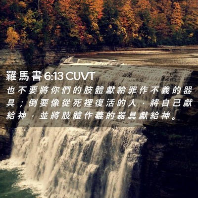 Picture 02 - 羅 馬 書 6:13 CUVT - 也 不 要 將 你 們 的 肢 體 獻 給 罪 - Bible Verse Picture
