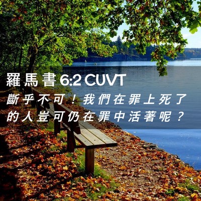 Picture 02 - 羅 馬 書 6:2 CUVT - 斷 乎 不 可 ！ 我 們 在 罪 上 死 了 - Bible Verse Picture