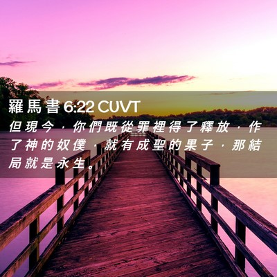 Picture 02 - 羅 馬 書 6:22 CUVT - 但 現 今 ， 你 們 既 從 罪 裡 得 了 - Bible Verse Picture