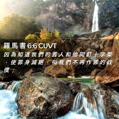 Picture 02 - 羅 馬 書 6:6 CUVT - 因 為 知 道 我 們 的 舊 人 和 他 同 - Bible Verse Picture