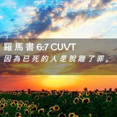 Picture 02 - 羅 馬 書 6:7 CUVT - 因 為 已 死 的 人 是 脫 離 了 罪 - Bible Verse Picture