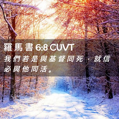 Picture 02 - 羅 馬 書 6:8 CUVT - 我 們 若 是 與 基 督 同 死 ， 就 信 - Bible Verse Picture