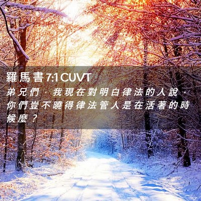 Picture 02 - 羅 馬 書 7:1 CUVT - 弟 兄 們 ， 我 現 在 對 明 白 律 法 - Bible Verse Picture