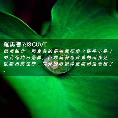 Picture 02 - 羅 馬 書 7:13 CUVT - 既 然 如 此 ， 那 良 善 的 是 叫 我 - Bible Verse Picture