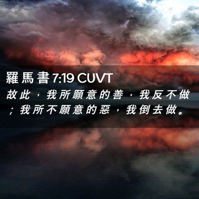 Picture 02 - 羅 馬 書 7:19 CUVT - 故 此 ， 我 所 願 意 的 善 ， 我 反 - Bible Verse Picture