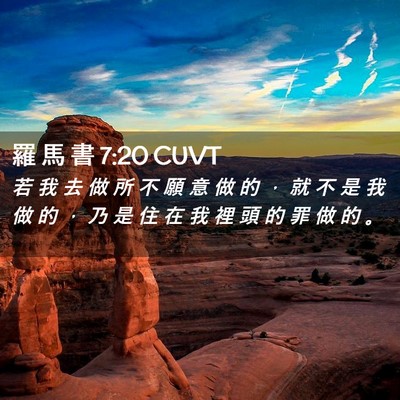 Picture 02 - 羅 馬 書 7:20 CUVT - 若 我 去 做 所 不 願 意 做 的 ， 就 - Bible Verse Picture