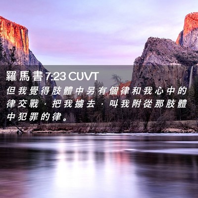 Picture 02 - 羅 馬 書 7:23 CUVT - 但 我 覺 得 肢 體 中 另 有 個 律 和 - Bible Verse Picture