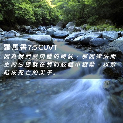 Picture 02 - 羅 馬 書 7:5 CUVT - 因 為 我 們 屬 肉 體 的 時 候 ， 那 - Bible Verse Picture