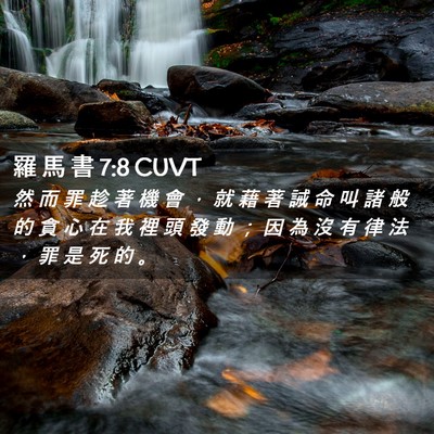 Picture 02 - 羅 馬 書 7:8 CUVT - 然 而 罪 趁 著 機 會 ， 就 藉 著 誡 - Bible Verse Picture