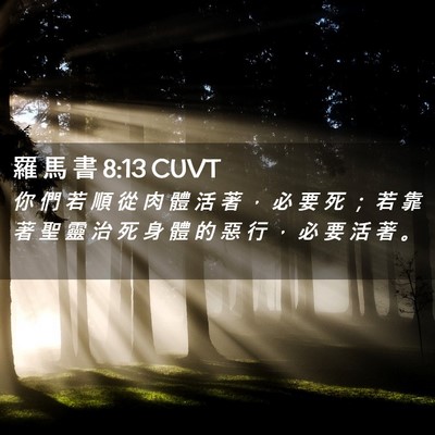 Picture 02 - 羅 馬 書 8:13 CUVT - 你 們 若 順 從 肉 體 活 著 ， 必 要 - Bible Verse Picture