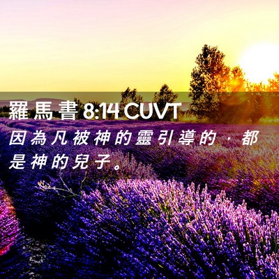 Picture 02 - 羅 馬 書 8:14 CUVT - 因 為 凡 被 神 的 靈 引 導 的 ， 都 - Bible Verse Picture