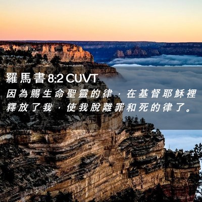 Picture 02 - 羅 馬 書 8:2 CUVT - 因 為 賜 生 命 聖 靈 的 律 ， 在 基 - Bible Verse Picture