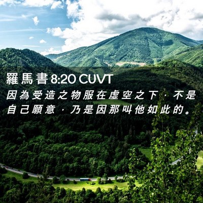 Picture 02 - 羅 馬 書 8:20 CUVT - 因 為 受 造 之 物 服 在 虛 空 之 下 - Bible Verse Picture