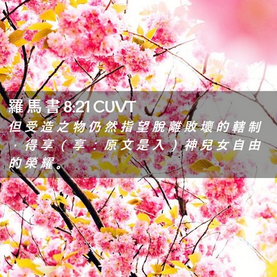 Picture 02 - 羅 馬 書 8:21 CUVT - 但 受 造 之 物 仍 然 指 望 脫 離 敗 - Bible Verse Picture
