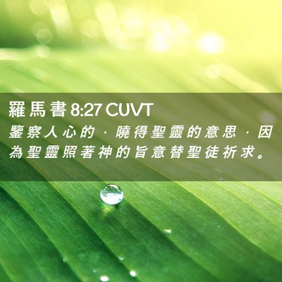 Picture 02 - 羅 馬 書 8:27 CUVT - 鑒 察 人 心 的 ， 曉 得 聖 靈 的 意 - Bible Verse Picture