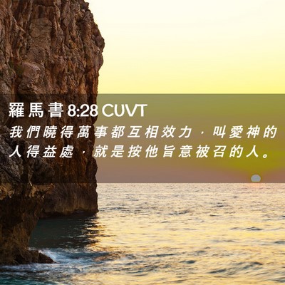 Picture 02 - 羅 馬 書 8:28 CUVT - 我 們 曉 得 萬 事 都 互 相 效 力 ， - Bible Verse Picture