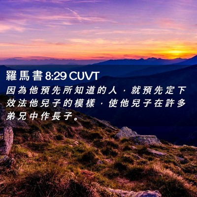 Picture 02 - 羅 馬 書 8:29 CUVT - 因 為 他 預 先 所 知 道 的 人 ， 就 - Bible Verse Picture