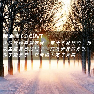 Picture 02 - 羅 馬 書 8:3 CUVT - 律 法 既 因 肉 體 軟 弱 ， 有 所 不 - Bible Verse Picture