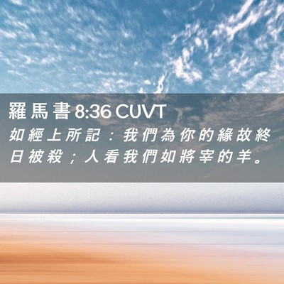 Picture 02 - 羅 馬 書 8:36 CUVT - 如 經 上 所 記 ： 我 們 為 你 的 緣 - Bible Verse Picture