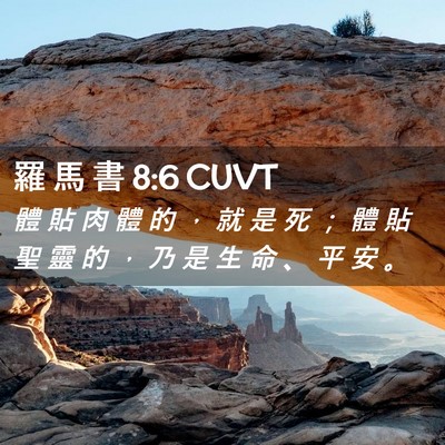 Picture 02 - 羅 馬 書 8:6 CUVT - 體 貼 肉 體 的 ， 就 是 死 ； 體 貼 - Bible Verse Picture