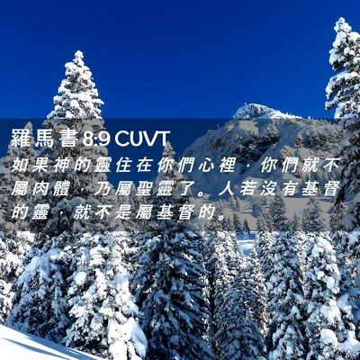 Picture 02 - 羅 馬 書 8:9 CUVT - 如 果 神 的 靈 住 在 你 們 心 裡 ， - Bible Verse Picture