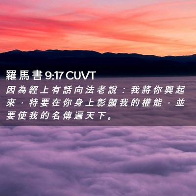 Picture 02 - 羅 馬 書 9:17 CUVT - 因 為 經 上 有 話 向 法 老 說 ： 我 - Bible Verse Picture