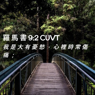 Picture 02 - 羅 馬 書 9:2 CUVT - 我 是 大 有 憂 愁 ， 心 裡 時 常 傷 - Bible Verse Picture