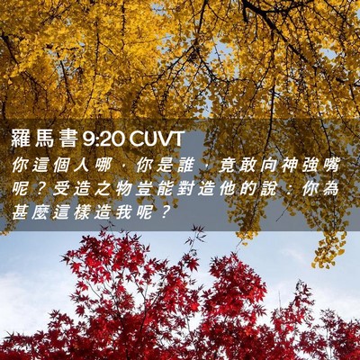 Picture 02 - 羅 馬 書 9:20 CUVT - 你 這 個 人 哪 ， 你 是 誰 ， 竟 敢 - Bible Verse Picture