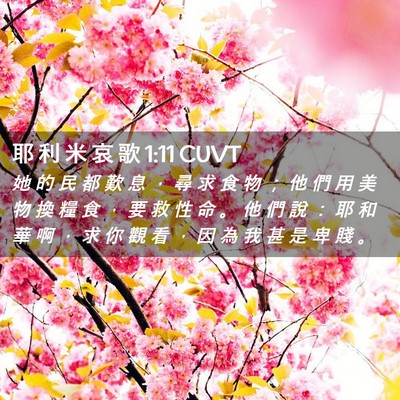 Picture 02 - 耶 利 米 哀 歌 1:11 CUVT - 她 的 民 都 歎 息 ， 尋 求 食 物 ； - Bible Verse Picture
