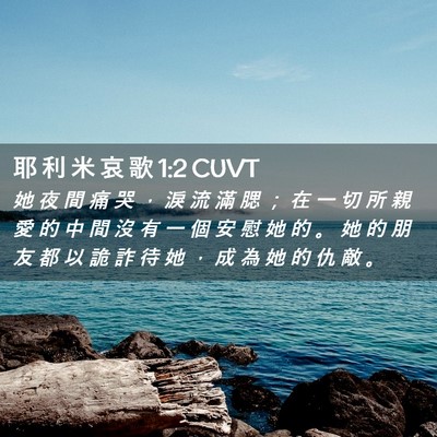 Picture 02 - 耶 利 米 哀 歌 1:2 CUVT - 她 夜 間 痛 哭 ， 淚 流 滿 腮 ； 在 - Bible Verse Picture